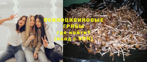 a pvp Баксан