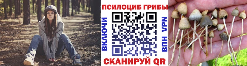 Псилоцибиновые грибы ЛСД OMG Кулебаки